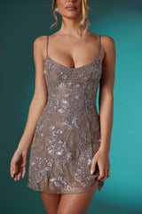 Embellished Lace Mini Dress in Taupe